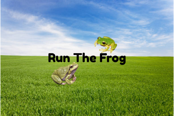 Run The Frog